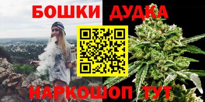 гидропоника Сланцы