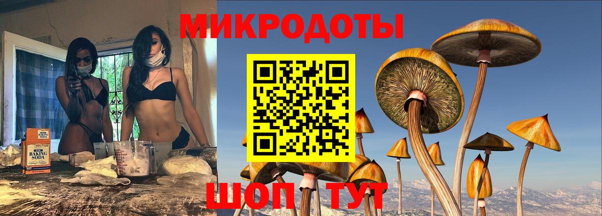 Псилоцибиновые грибы Magic Shrooms Осинники