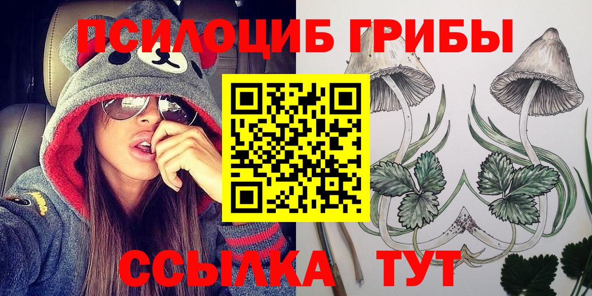 Осинники  Псилоцибиновые грибы мухоморы  Вход с VPN 